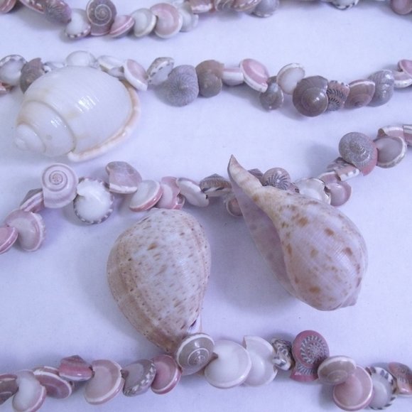 Seashell Umbonium Shell Garland - Picture 1 of 9